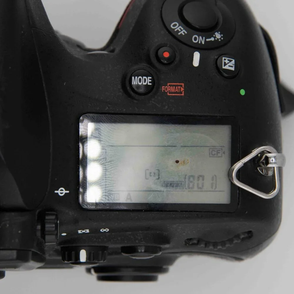 Used Nikon D800 Body Only
